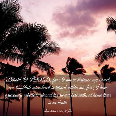 Picture 03 - Lamentations 1:20 KJV - Behold, O LORD; for I am in distress: my bowels - Bible Verse Picture