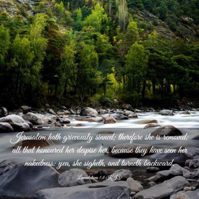 Picture 03 - Lamentations 1:8 KJV - Jerusalem hath grievously sinned; therefore she - Bible Verse Picture