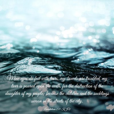 Picture 03 - Lamentations 2:11 KJV - Mine eyes do fail with tears, my bowels are - Bible Verse Picture