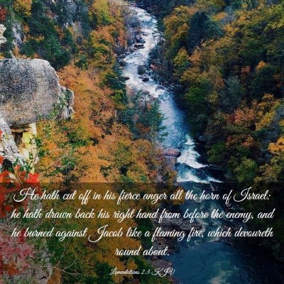Picture 03 - Lamentations 2:3 KJV - He hath cut off in his fierce anger all the horn - Bible Verse Picture