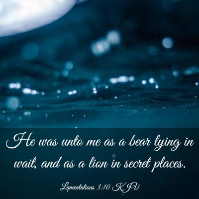 Picture 03 - Lamentations 3:10 KJV - He was unto me as a bear lying in wait, and as a - Bible Verse Picture
