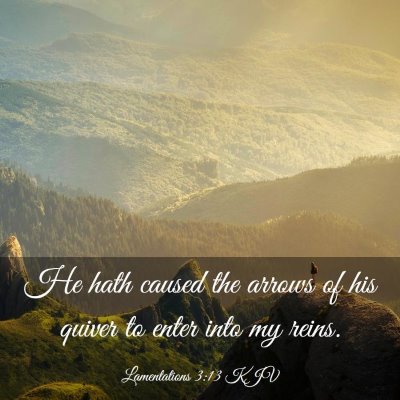 Picture 03 - Lamentations 3:13 KJV - He hath caused the arrows of his quiver to enter - Bible Verse Picture