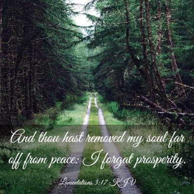 Picture 03 - Lamentations 3:17 KJV - And thou hast removed my soul far off from peace: - Bible Verse Picture