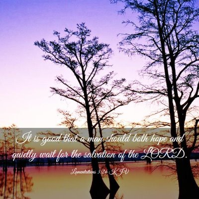 Picture 03 - Lamentations 3:26 KJV - It is good that a man should both hope and - Bible Verse Picture