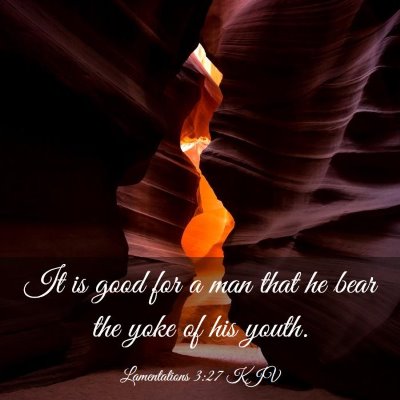 Picture 03 - Lamentations 3:27 KJV - It is good for a man that he bear the yoke of his - Bible Verse Picture