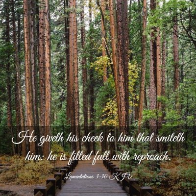 Picture 03 - Lamentations 3:30 KJV - He giveth his cheek to him that smiteth him: he - Bible Verse Picture