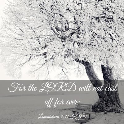 Picture 03 - Lamentations 3:31 KJV - For the LORD will not cast off for - Bible Verse Picture