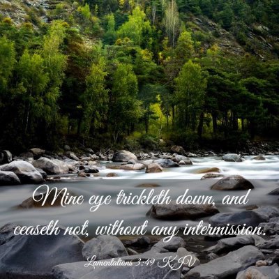 Picture 03 - Lamentations 3:49 KJV - Mine eye trickleth down, and ceaseth not, without - Bible Verse Picture