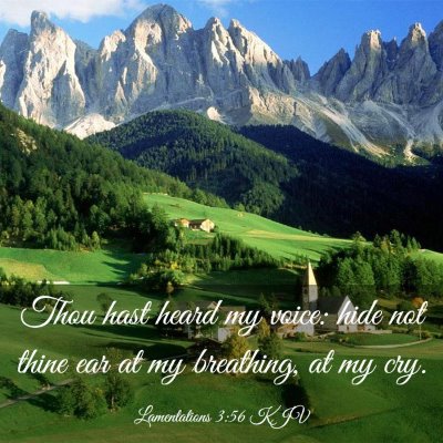 Picture 03 - Lamentations 3:56 KJV - Thou hast heard my voice: hide not thine ear at - Bible Verse Picture