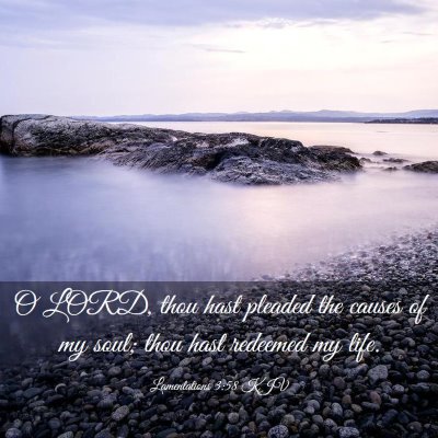 Picture 03 - Lamentations 3:58 KJV - O LORD, thou hast pleaded the causes of my soul; - Bible Verse Picture