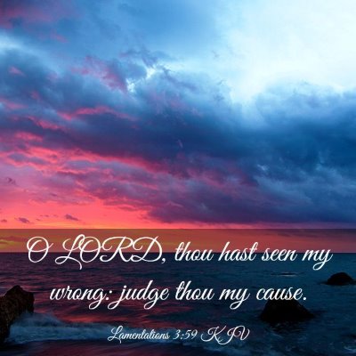 Picture 03 - Lamentations 3:59 KJV - O LORD, thou hast seen my wrong: judge thou my - Bible Verse Picture