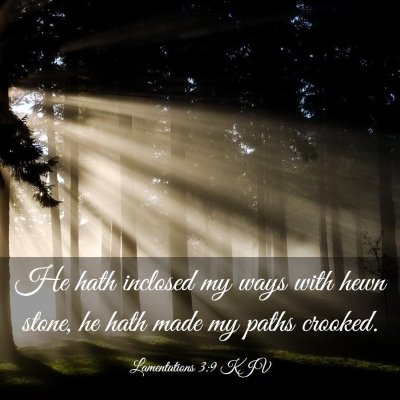 Picture 03 - Lamentations 3:9 KJV - He hath inclosed my ways with hewn stone, he hath - Bible Verse Picture