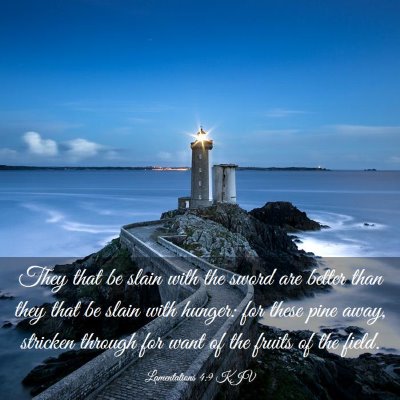 Picture 03 - Lamentations 4:9 KJV - They that be slain with the sword are better than - Bible Verse Picture