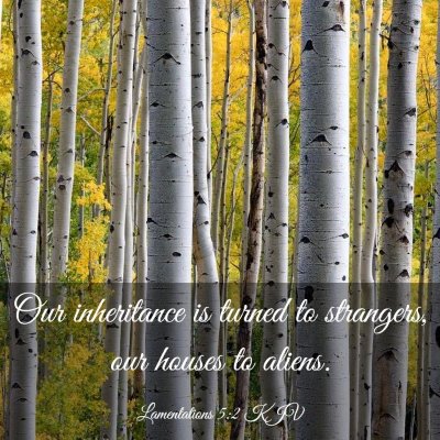 Picture 03 - Lamentations 5:2 KJV - Our inheritance is turned to strangers, our - Bible Verse Picture