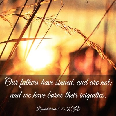 Picture 03 - Lamentations 5:7 KJV - Our fathers have sinned, and are not; and we have - Bible Verse Picture