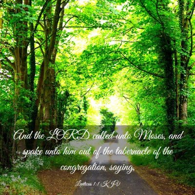 Picture 03 - Leviticus 1:1 KJV - And the LORD called unto Moses, and spake unto - Bible Verse Picture