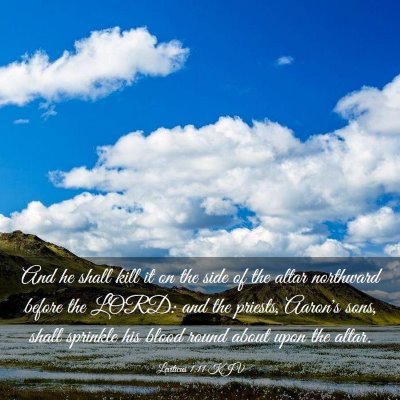 Picture 03 - Leviticus 1:11 KJV - And he shall kill it on the side of the altar - Bible Verse Picture