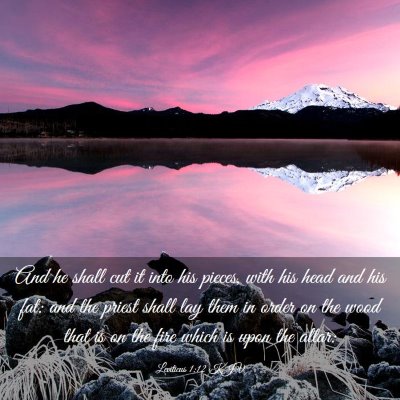 Picture 03 - Leviticus 1:12 KJV - And he shall cut it into his pieces, with his - Bible Verse Picture
