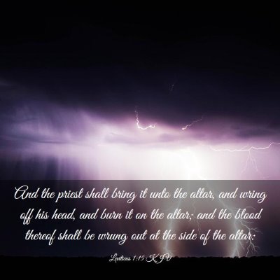 Picture 03 - Leviticus 1:15 KJV - And the priest shall bring it unto the altar, and - Bible Verse Picture
