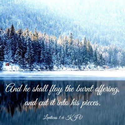 Picture 03 - Leviticus 1:6 KJV - And he shall flay the burnt offering, and cut it - Bible Verse Picture