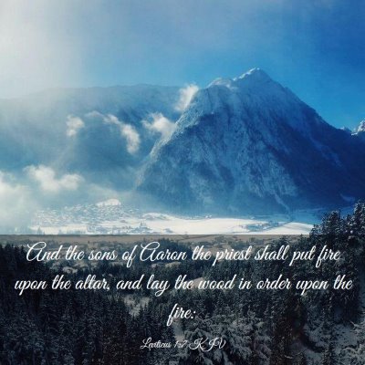 Picture 03 - Leviticus 1:7 KJV - And the sons of Aaron the priest shall put fire - Bible Verse Picture