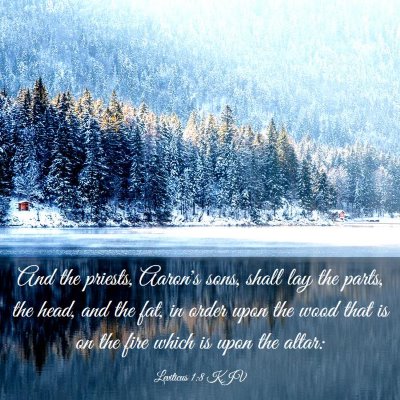 Picture 03 - Leviticus 1:8 KJV - And the priests, Aaron's sons, shall lay the - Bible Verse Picture