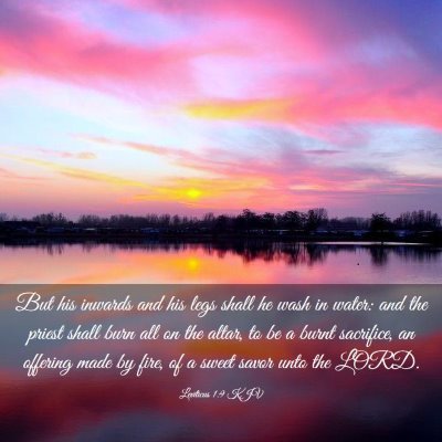 Picture 03 - Leviticus 1:9 KJV - But his inwards and his legs shall he wash in - Bible Verse Picture