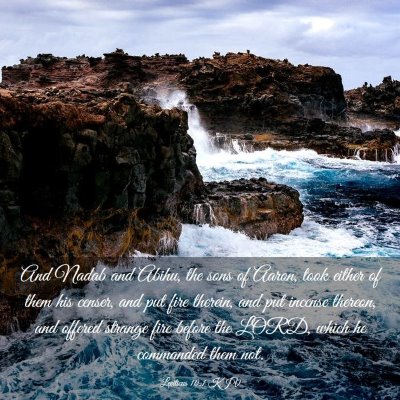 Picture 03 - Leviticus 10:1 KJV - And Nadab and Abihu, the sons of Aaron, took - Bible Verse Picture