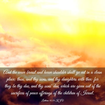 Picture 03 - Leviticus 10:14 KJV - And the wave breast and heave shoulder shall ye - Bible Verse Picture