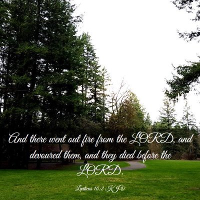 Picture 03 - Leviticus 10:2 KJV - And there went out fire from the LORD, and - Bible Verse Picture