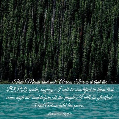 Picture 03 - Leviticus 10:3 KJV - Then Moses said unto Aaron, This is it that the - Bible Verse Picture