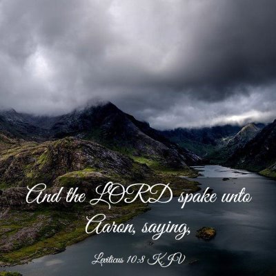 Picture 03 - Leviticus 10:8 KJV - And the LORD spake unto Aaron, - Bible Verse Picture