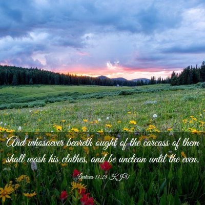 Picture 03 - Leviticus 11:25 KJV - And whosoever beareth ought of the carcass of - Bible Verse Picture