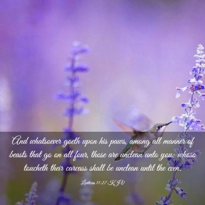 Picture 03 - Leviticus 11:27 KJV - And whatsoever goeth upon his paws, among all - Bible Verse Picture