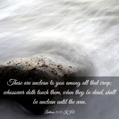 Picture 03 - Leviticus 11:31 KJV - These are unclean to you among all that creep: - Bible Verse Picture