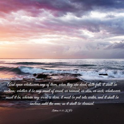 Picture 03 - Leviticus 11:32 KJV - And upon whatsoever any of them, when they are - Bible Verse Picture