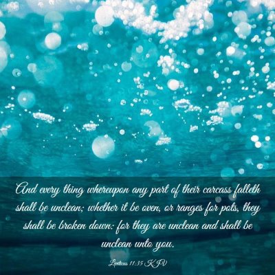 Picture 03 - Leviticus 11:35 KJV - And every thing whereupon any part of their - Bible Verse Picture