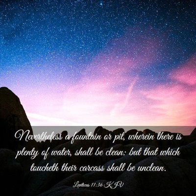Picture 03 - Leviticus 11:36 KJV - Nevertheless a fountain or pit, wherein there is - Bible Verse Picture