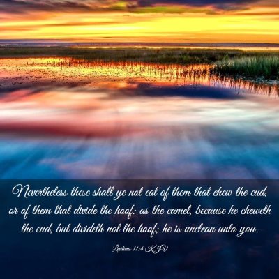 Picture 03 - Leviticus 11:4 KJV - Nevertheless these shall ye not eat of them that - Bible Verse Picture