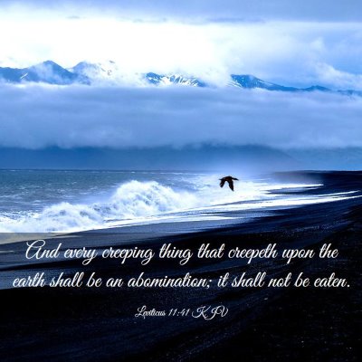 Picture 03 - Leviticus 11:41 KJV - And every creeping thing that creepeth upon the - Bible Verse Picture