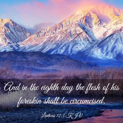 Picture 03 - Leviticus 12:3 KJV - And in the eighth day the flesh of his foreskin - Bible Verse Picture