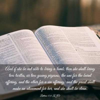 Picture 03 - Leviticus 12:8 KJV - And if she be not able to bring a lamb, then she - Bible Verse Picture