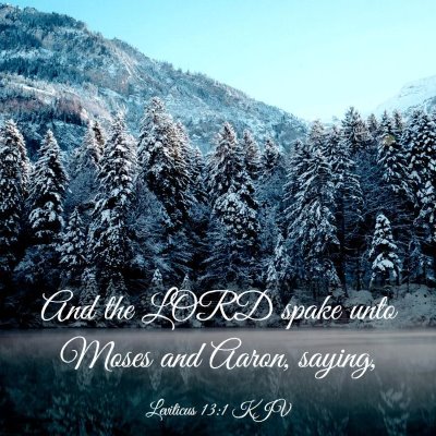 Picture 03 - Leviticus 13:1 KJV - And the LORD spake unto Moses and Aaron, - Bible Verse Picture