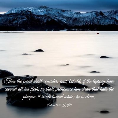 Picture 03 - Leviticus 13:13 KJV - Then the priest shall consider: and, behold, if - Bible Verse Picture
