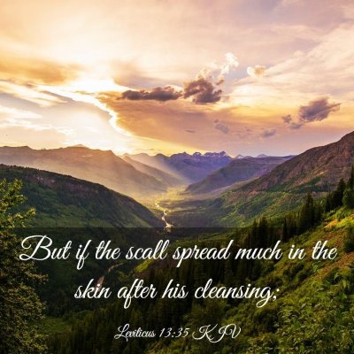 Picture 03 - Leviticus 13:35 KJV - But if the scall spread much in the skin after - Bible Verse Picture
