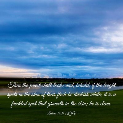 Picture 03 - Leviticus 13:39 KJV - Then the priest shall look: and, behold, if the - Bible Verse Picture