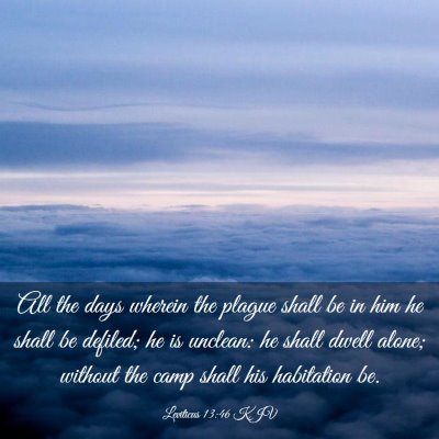 Picture 03 - Leviticus 13:46 KJV - All the days wherein the plague shall be in him - Bible Verse Picture