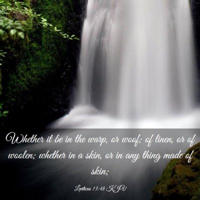 Picture 03 - Leviticus 13:48 KJV - Whether it be in the warp, or woof; of linen, or - Bible Verse Picture