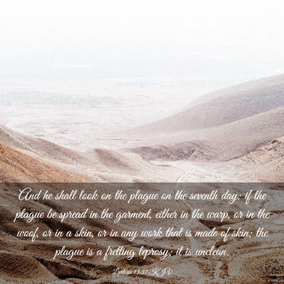 Picture 03 - Leviticus 13:51 KJV - And he shall look on the plague on the seventh - Bible Verse Picture