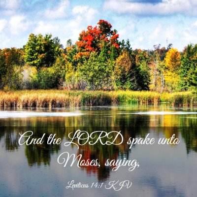 Picture 03 - Leviticus 14:1 KJV - And the LORD spake unto Moses, - Bible Verse Picture